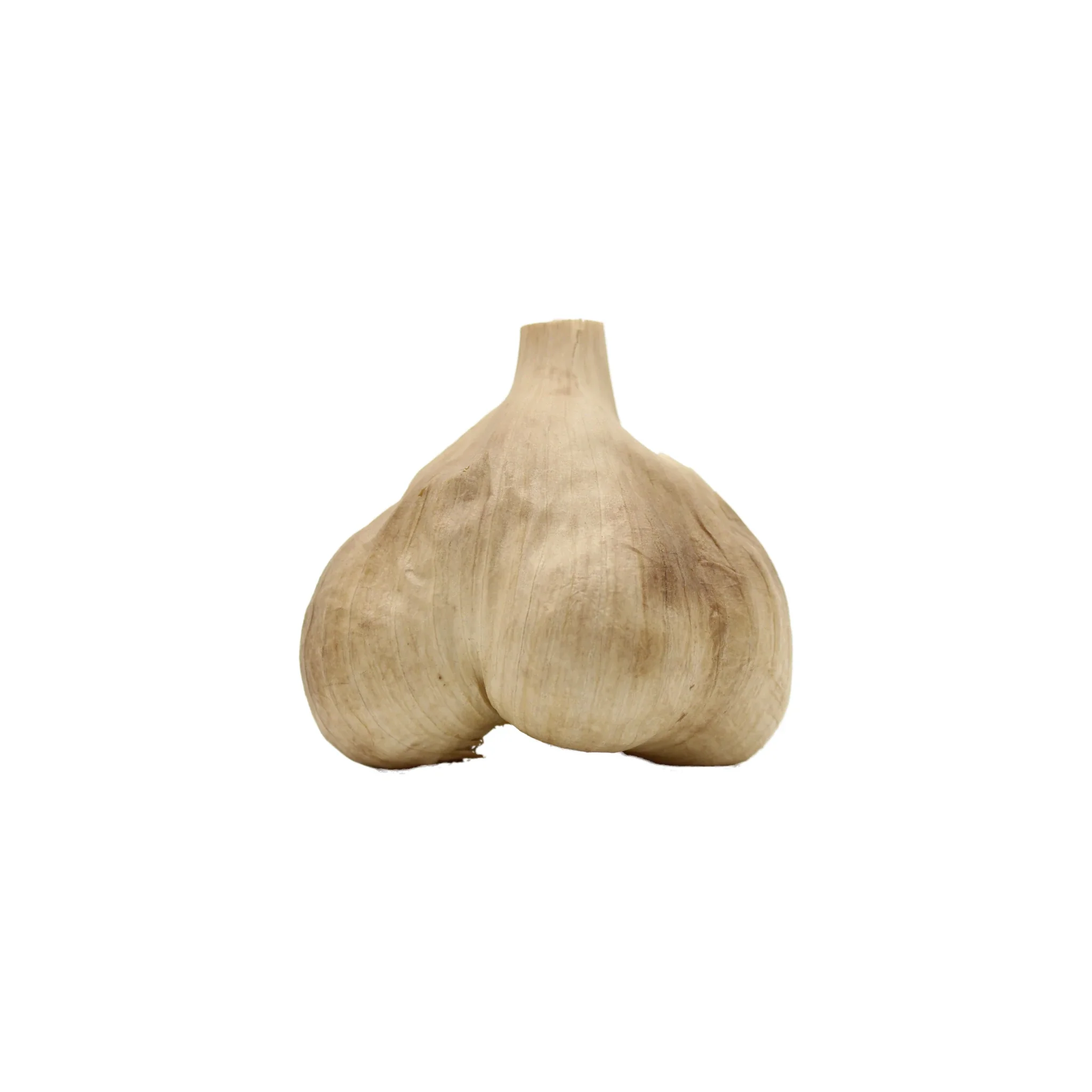 Black Garlic From Aomori Or Mie - Image 4