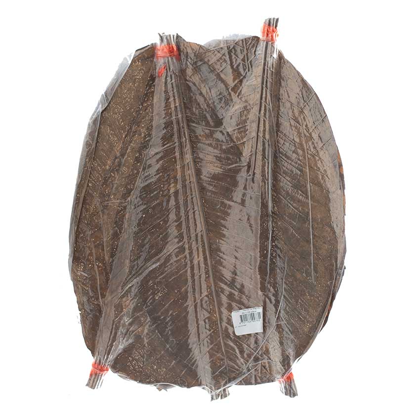 Dried Magnolia (Hoba) Leaves - 100 leaves - Image 2