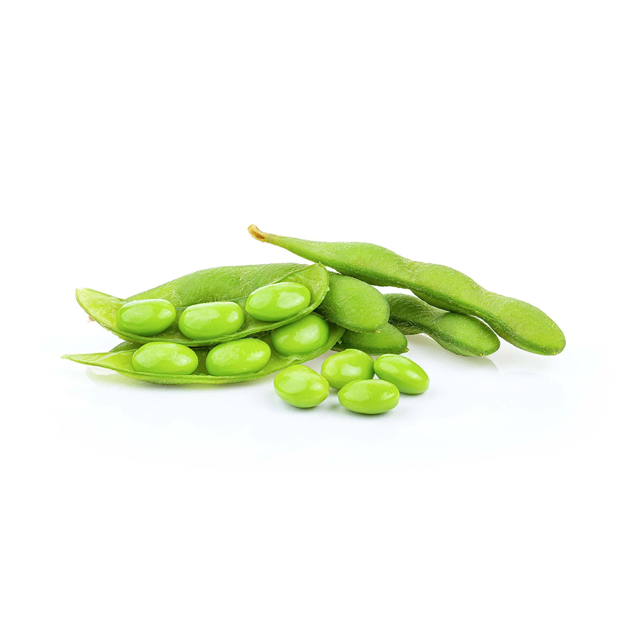 Edamame Bean Plants x 3 - Image 3