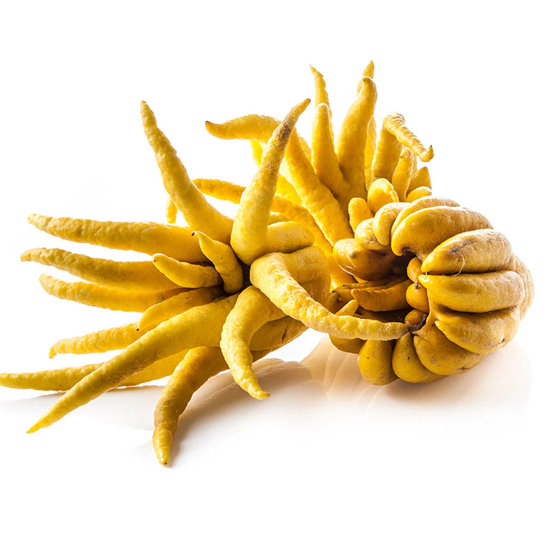 Fresh Buddha's Hands - Each