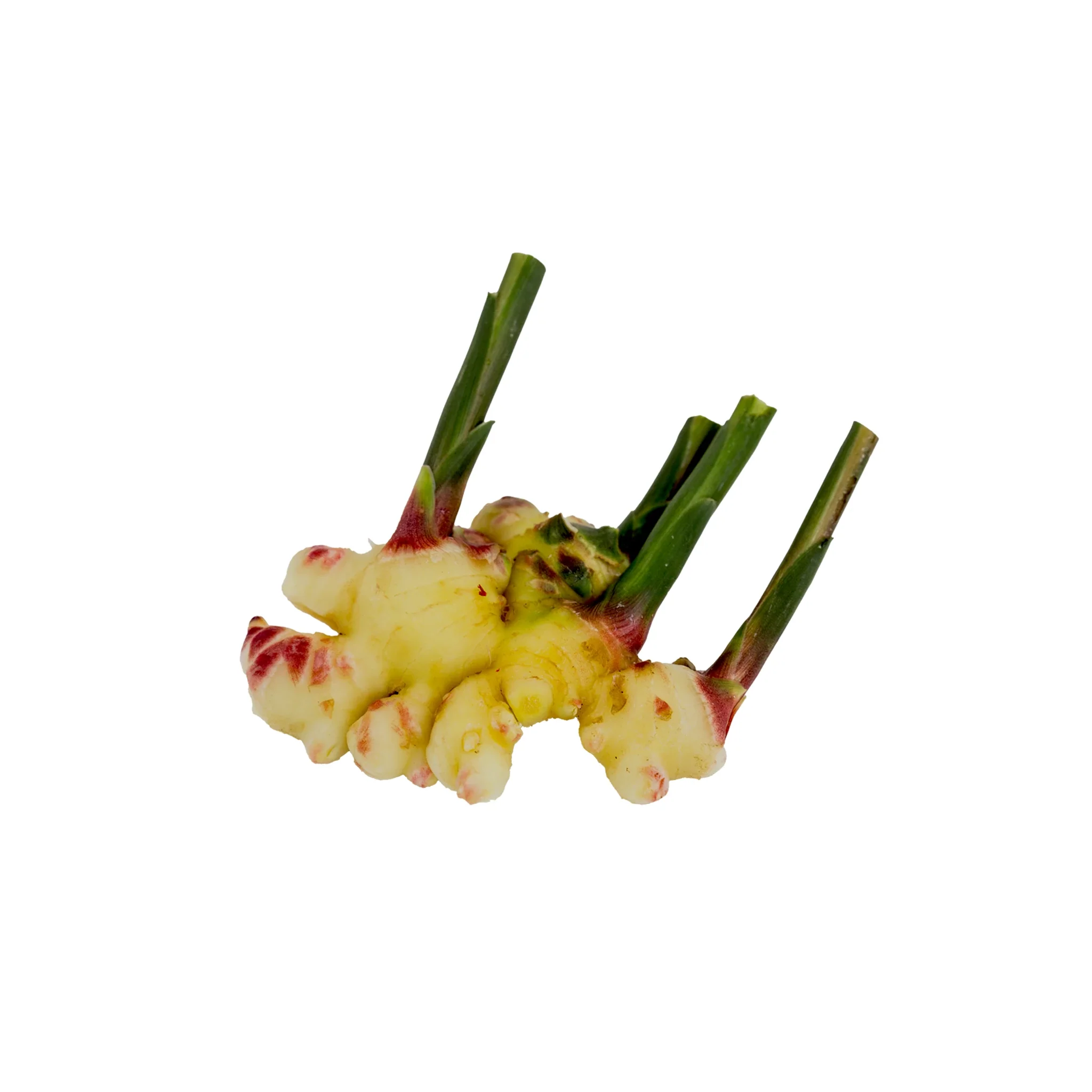 Fresh Ginger - Image 2