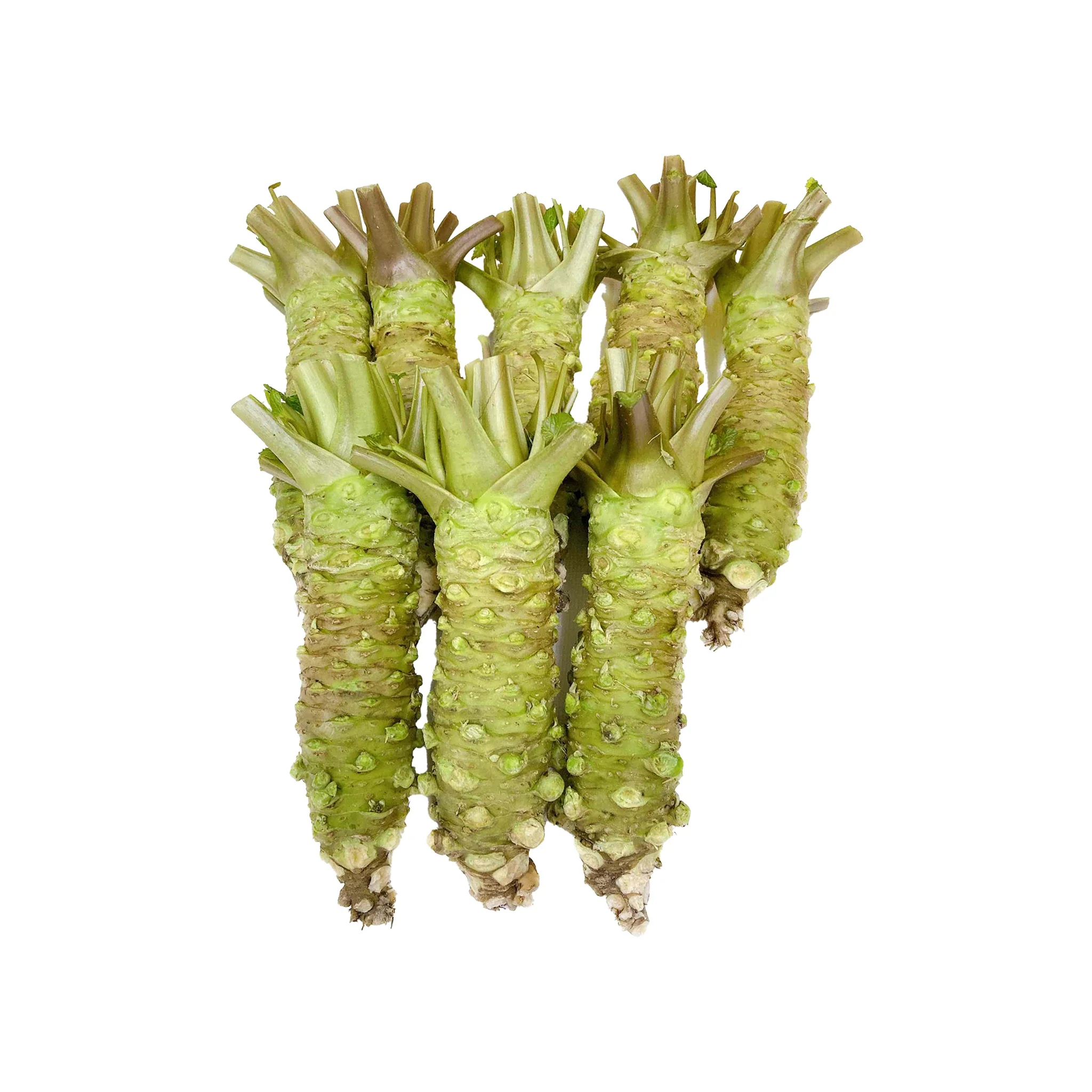 Fresh Japanese Wasabi - 1kg