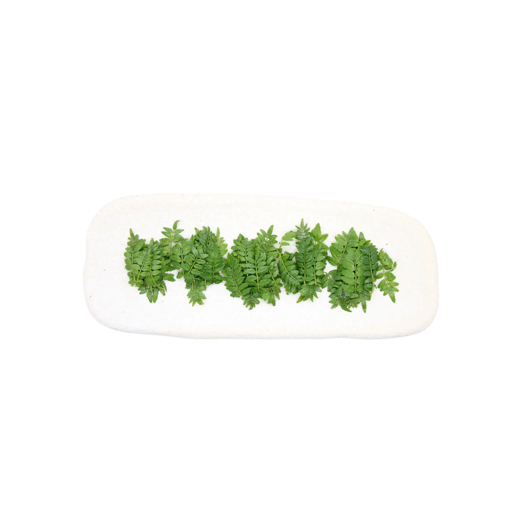 Fresh Kinome Leaves - 5g - Image 2