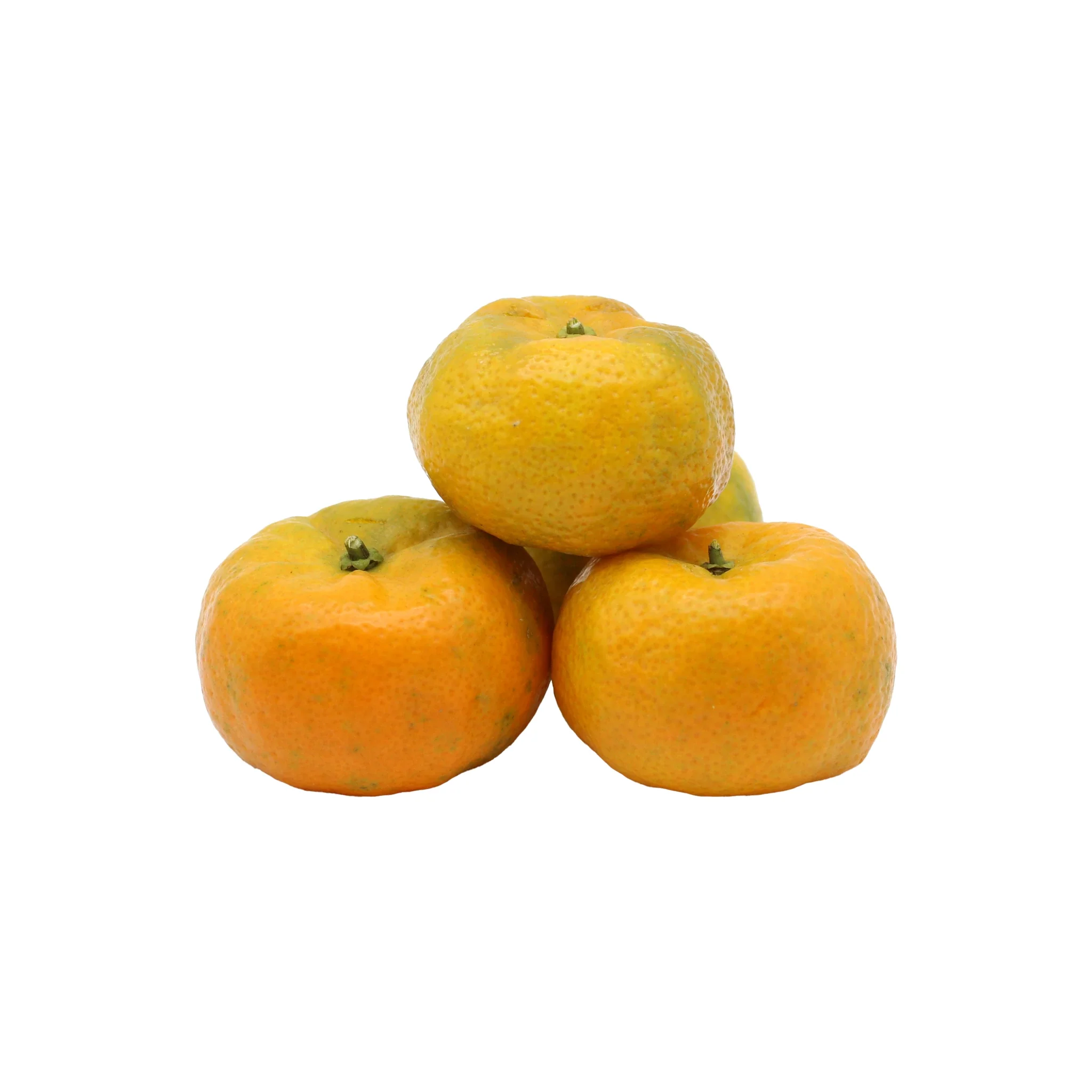 Fresh Shikuwasa Fruit - Image 3