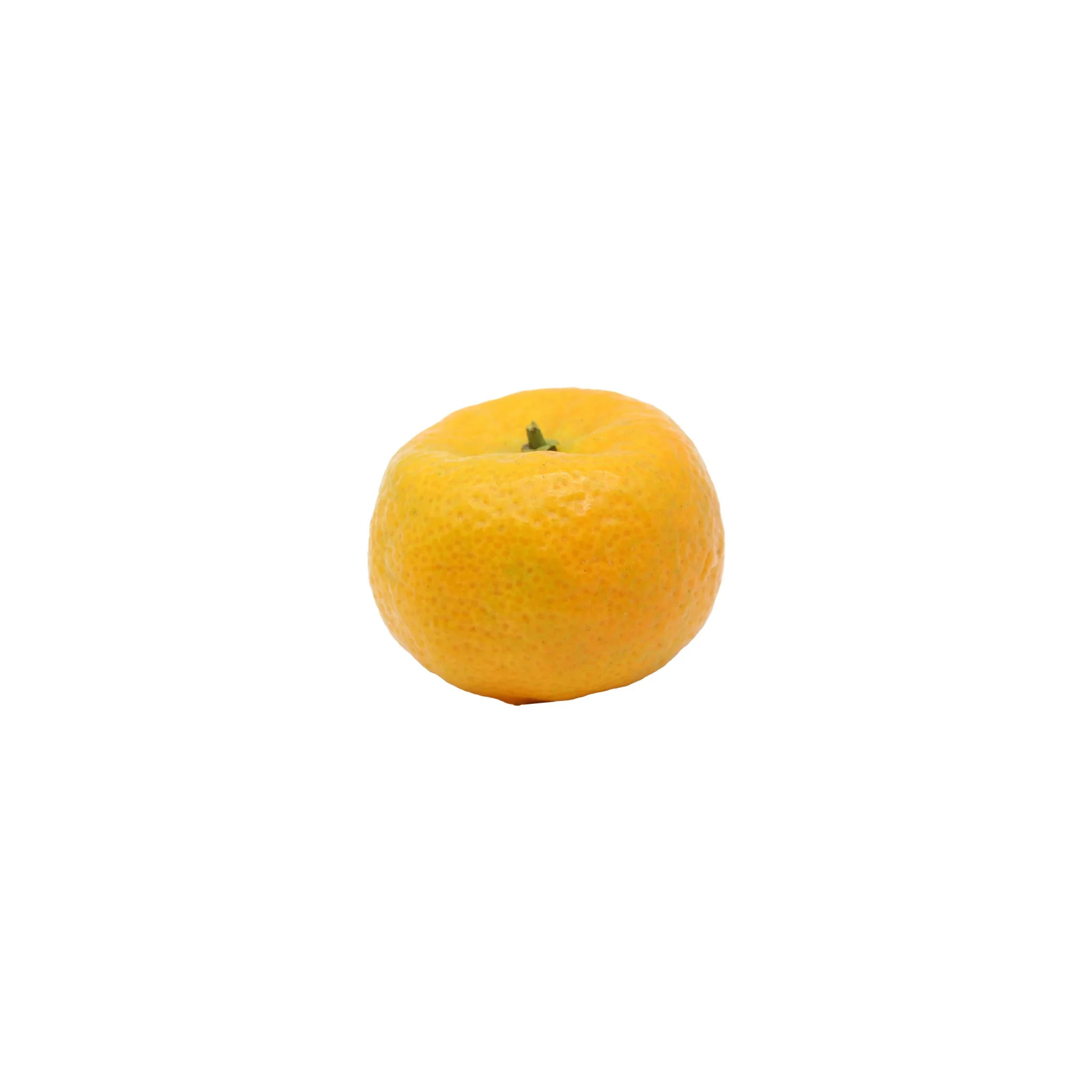 Fresh Shikuwasa Fruit - Image 4