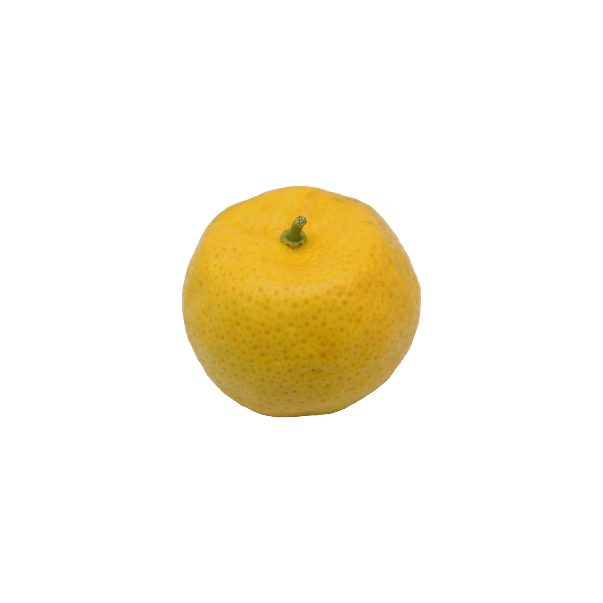 Fresh Tachibana - Image 4