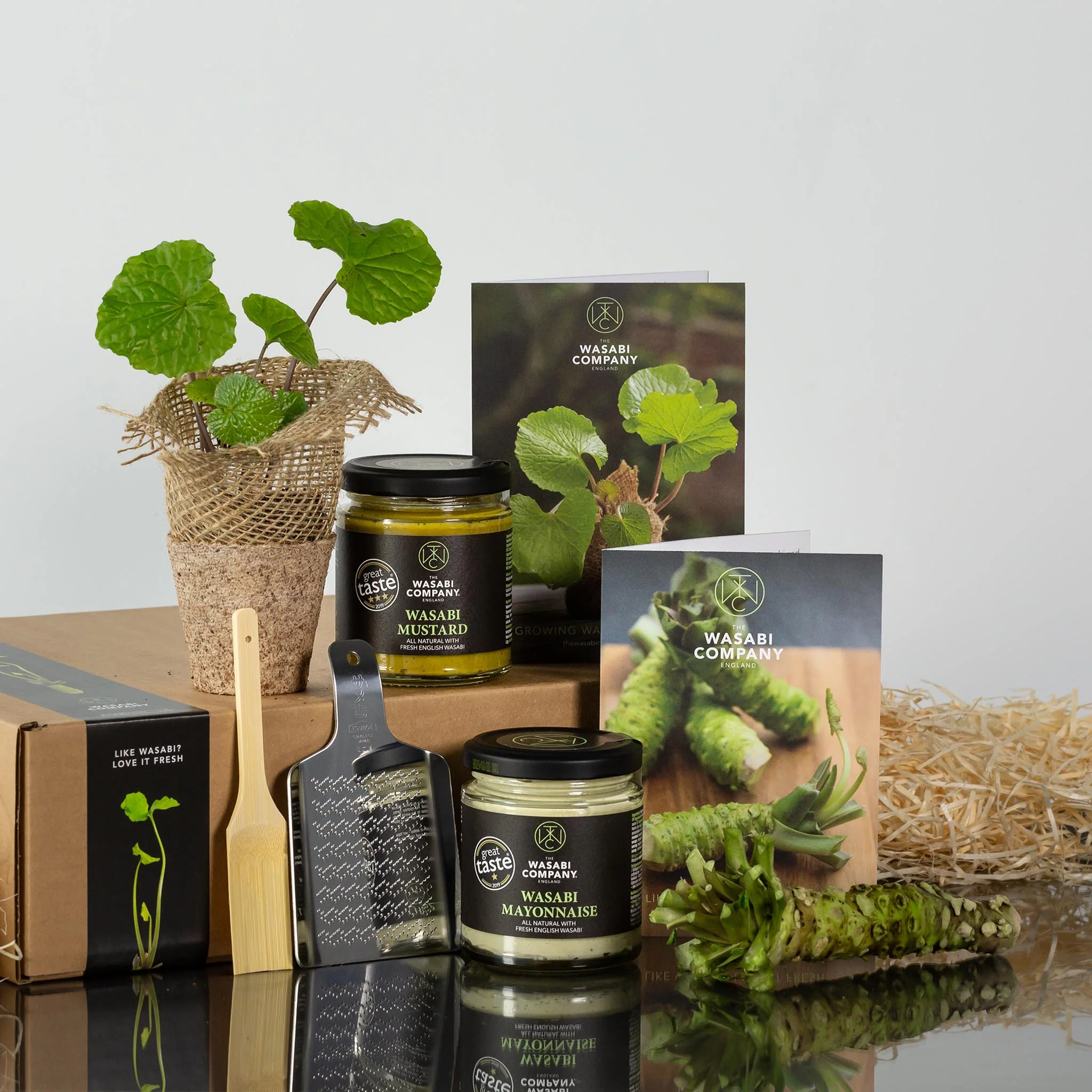 Fresh Wasabi Starter Kit, Plant & Condiment Set