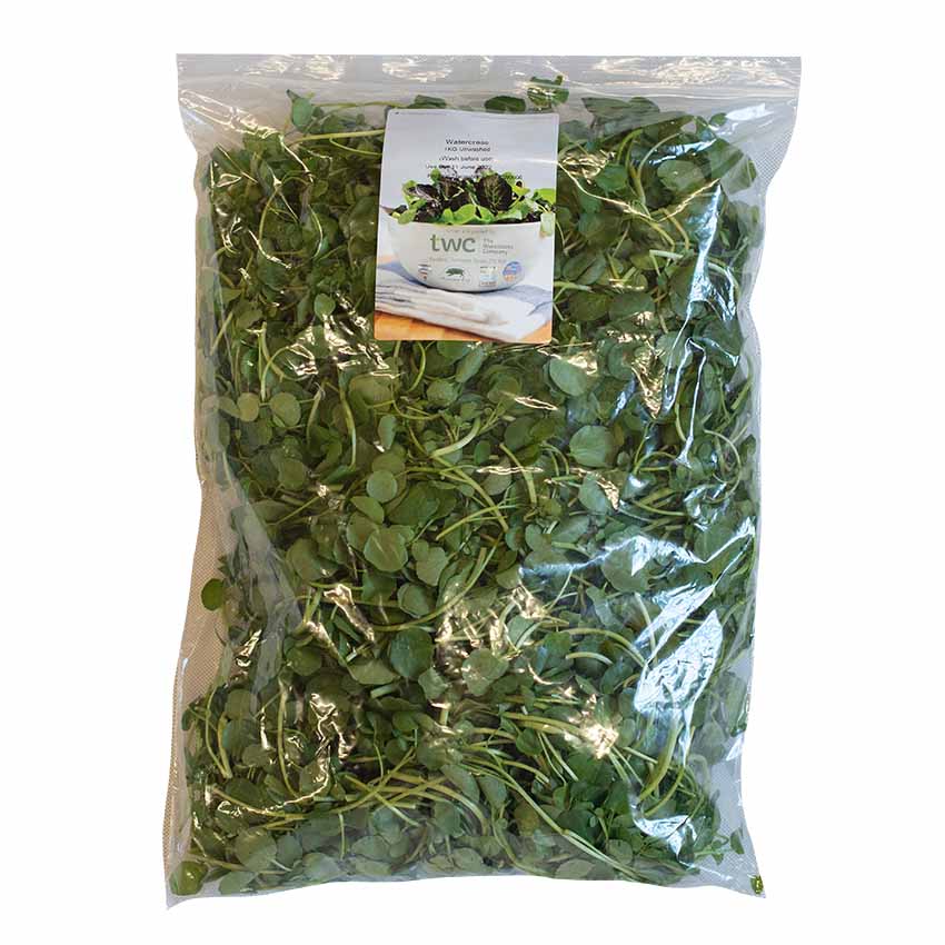 Fresh Watercress - Image 3