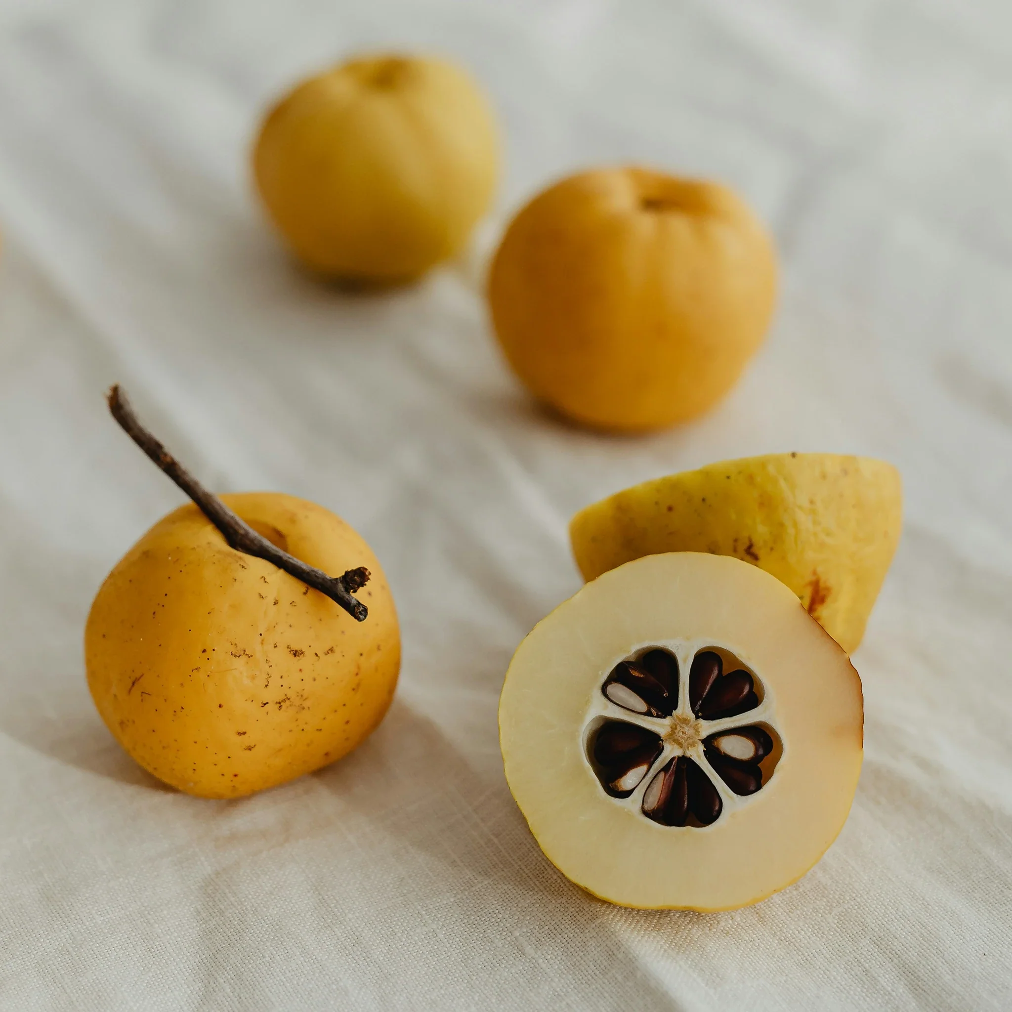 Japanese Quince Plant (Chaenomeles japonica) - Image 3