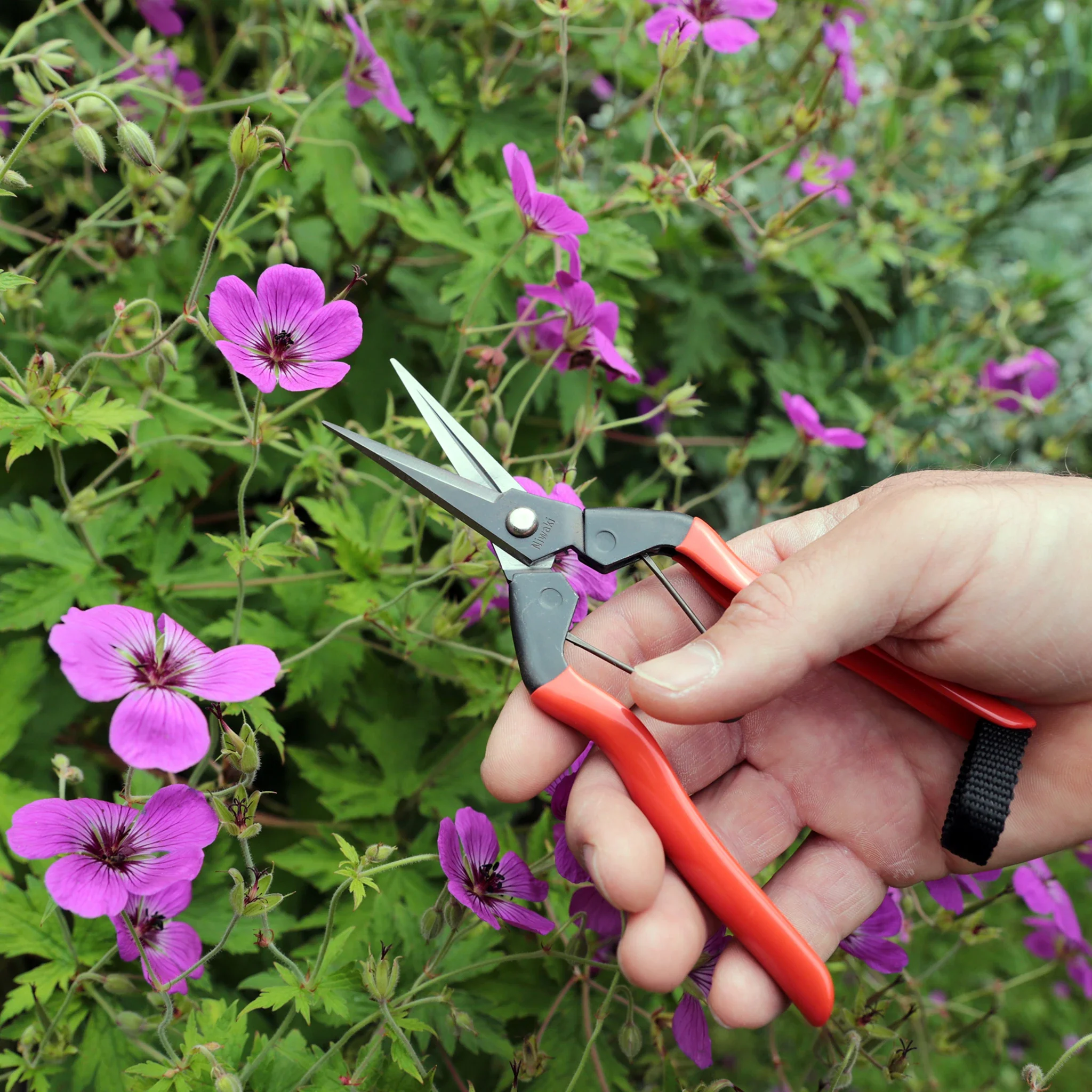 Niwaki Garden Snips - Image 4