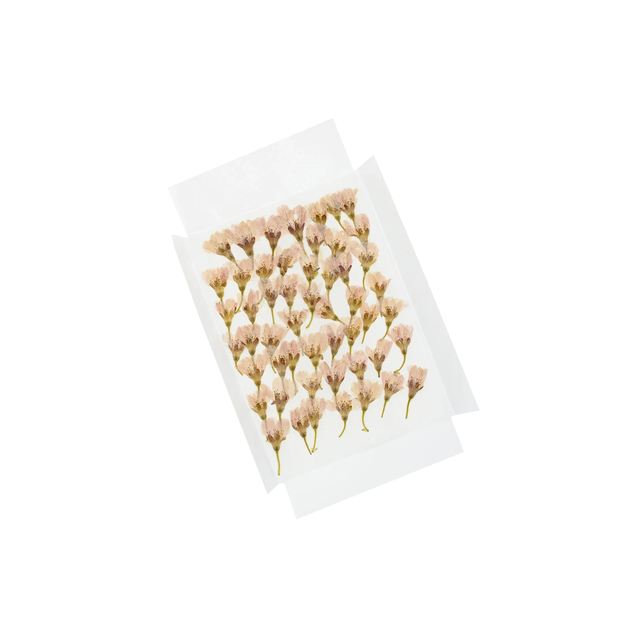 Pink Cherry (Sakura) Blossoms, Dried & Edible - 50