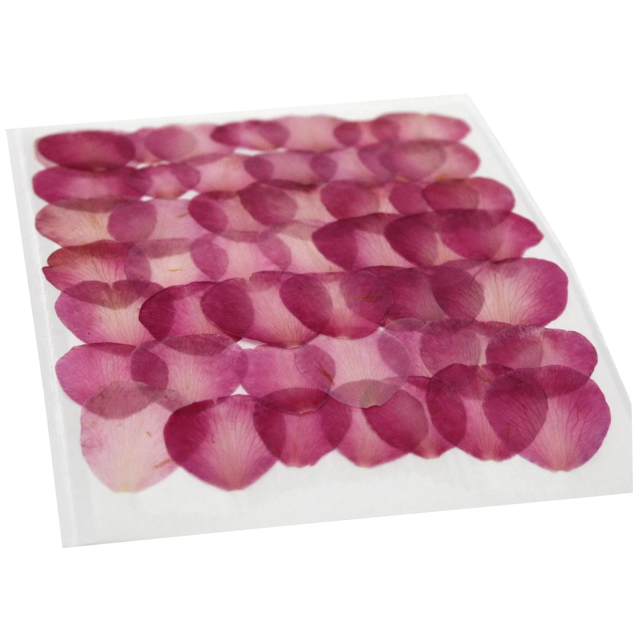 Red Camellia Petals, Dried & Edible - 50 - Image 2