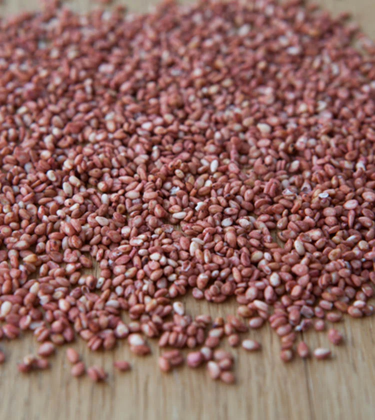 Sesame Seeds with Ume Plum - Image 3