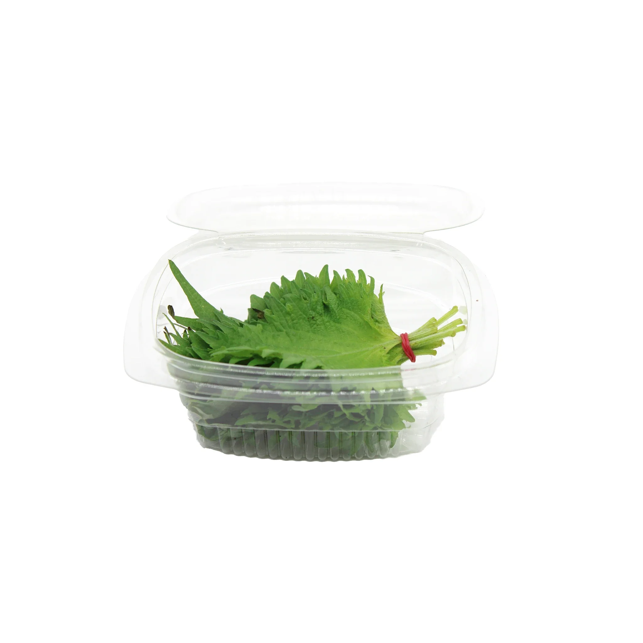 Shiso Leaves - 10 Leaves - Image 2