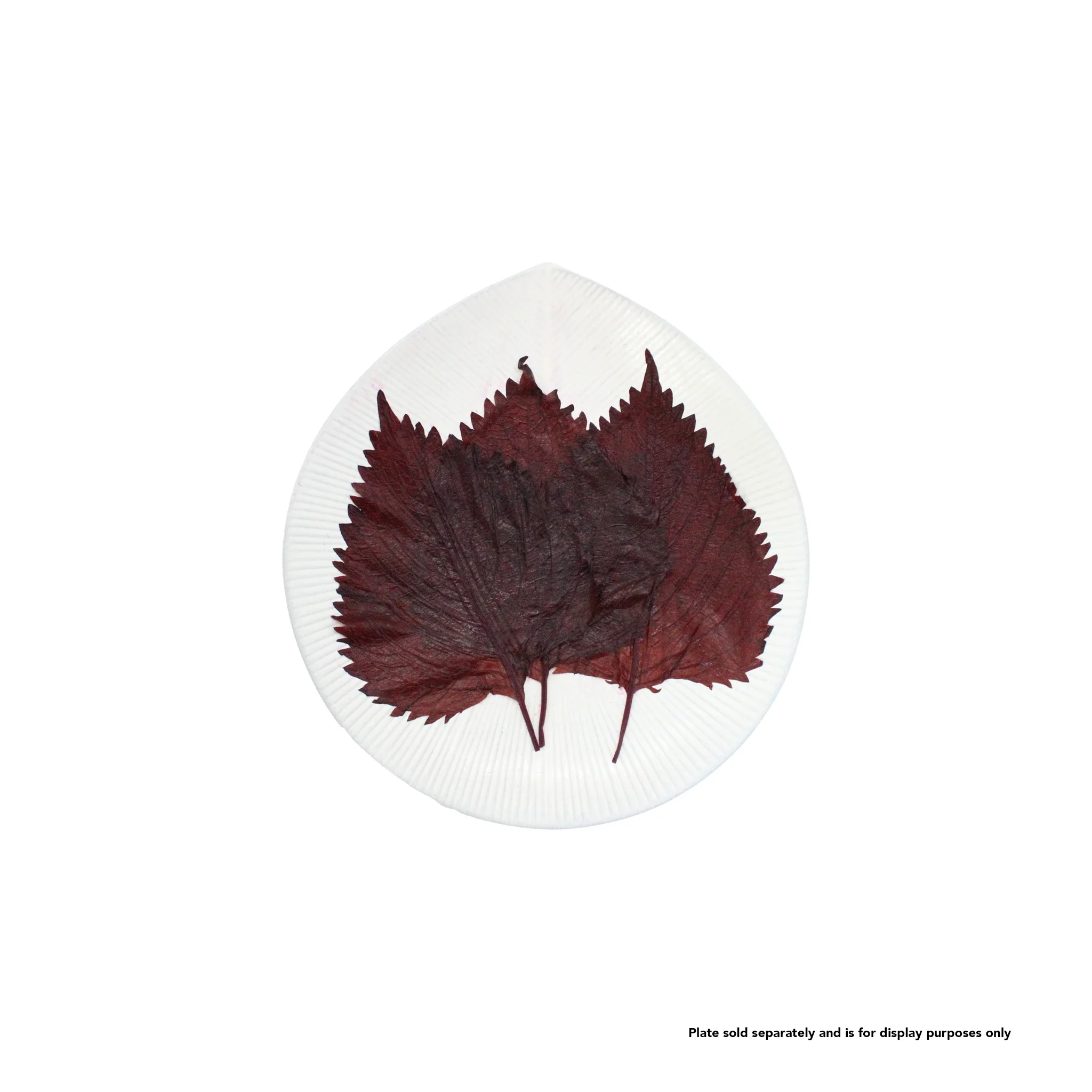 Shiso Leaves Condiment - 10 Leaves