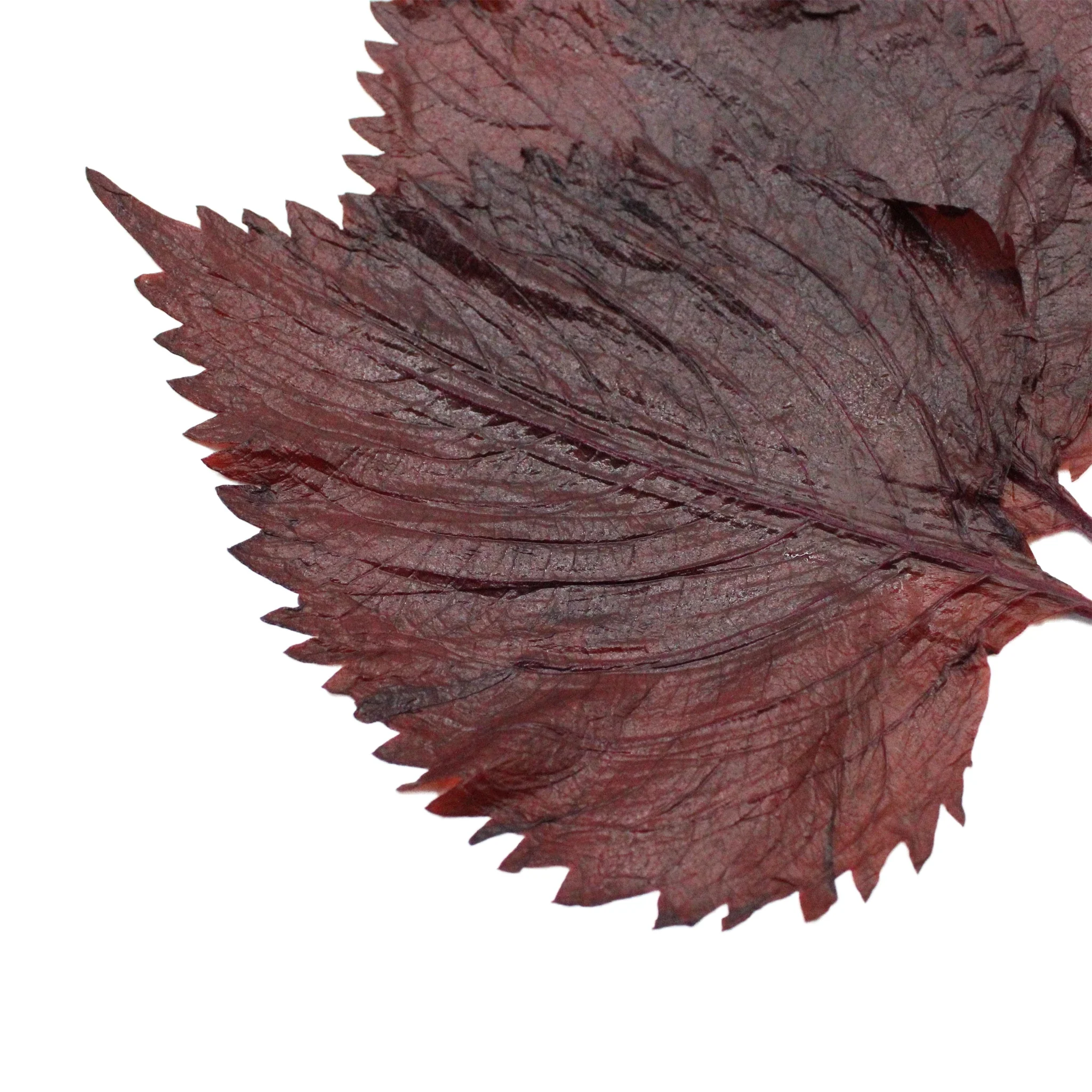 Shiso Leaves Condiment - 10 Leaves - Image 2