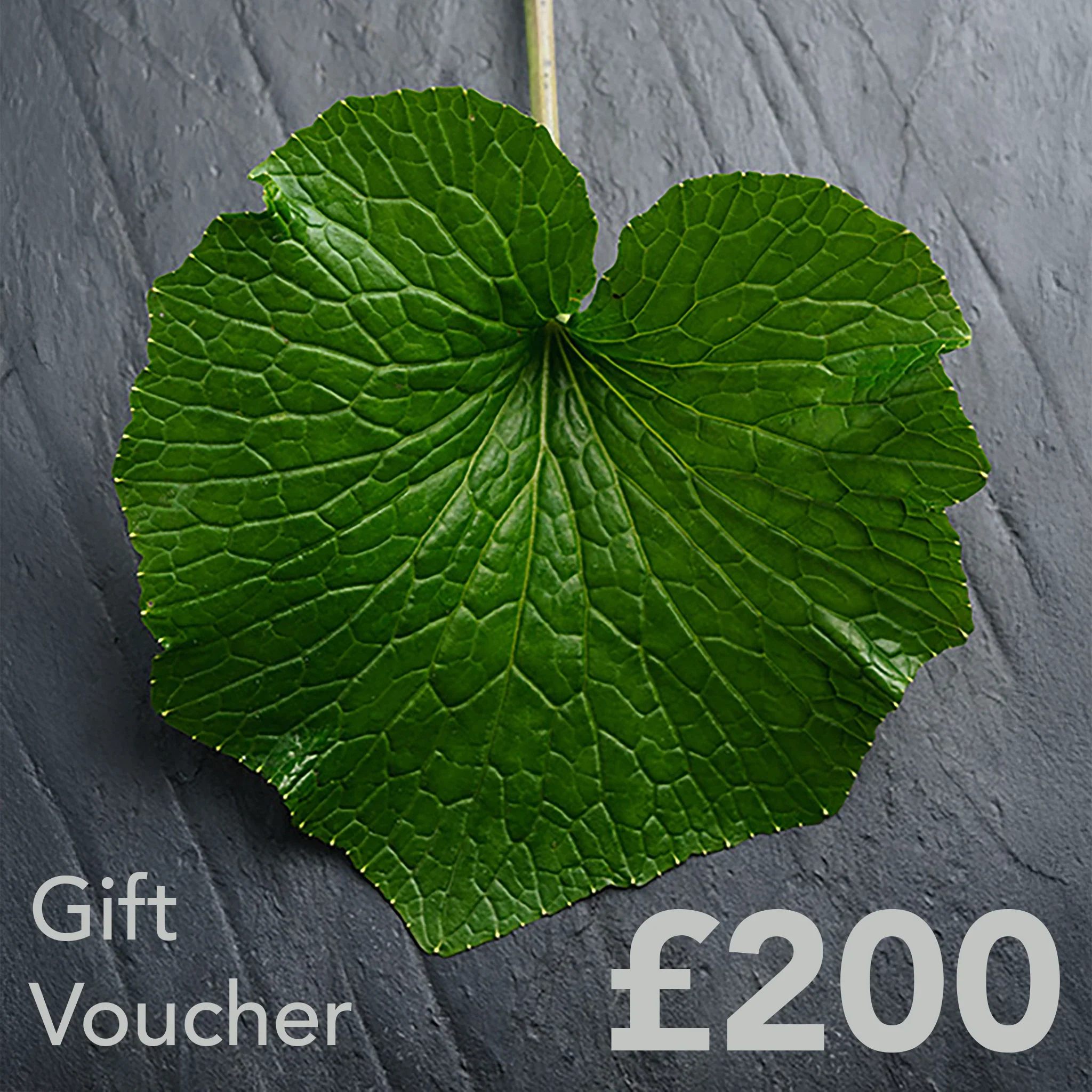 The Wasabi Company Gift Card - Image 12
