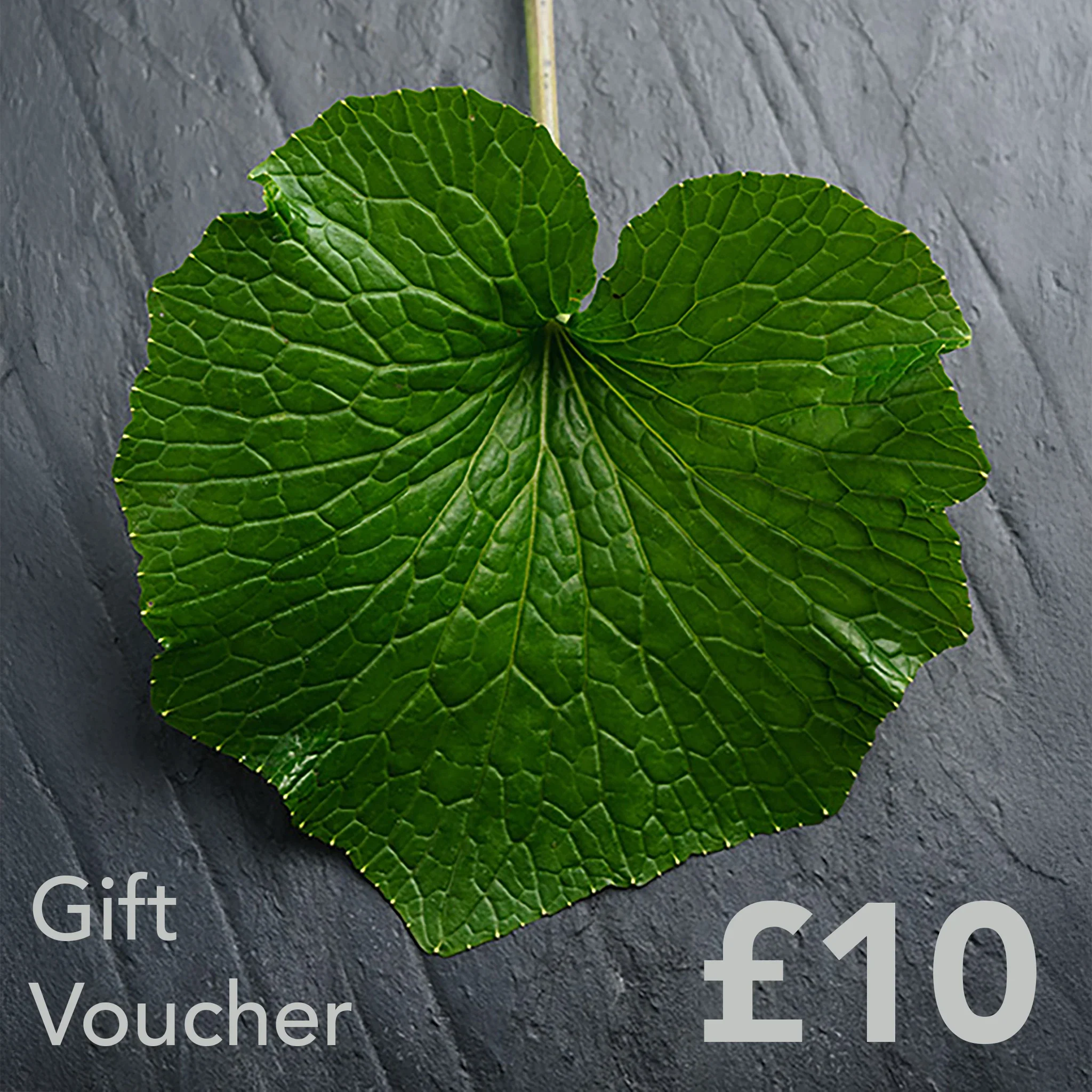 The Wasabi Company Gift Card - Image 2