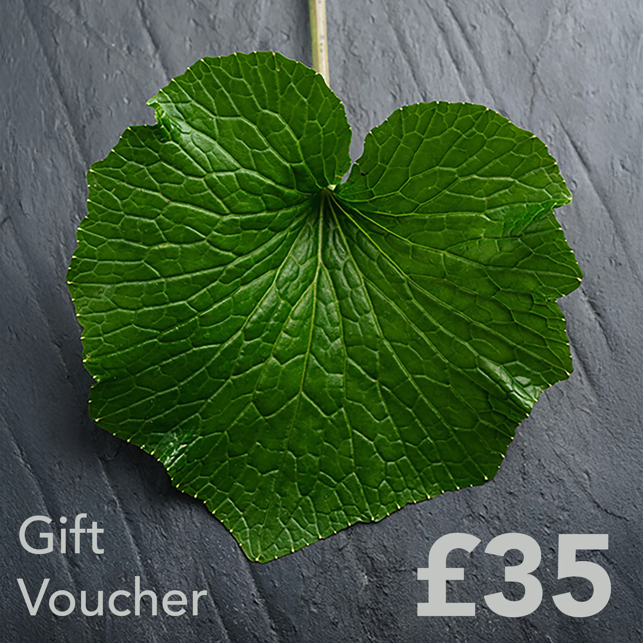 The Wasabi Company Gift Card - Image 5