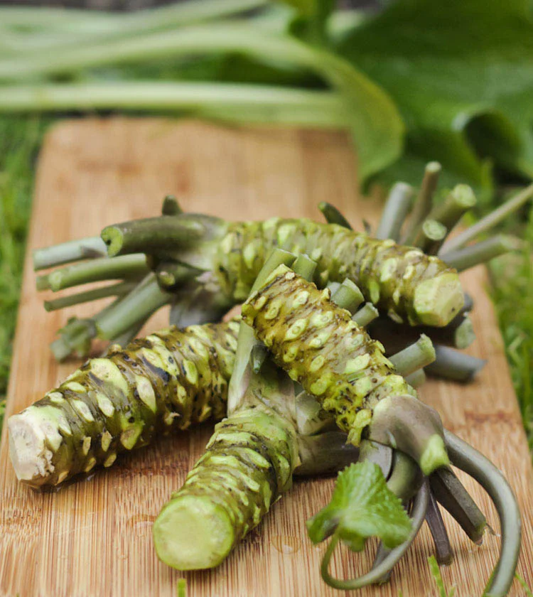 Wasabi Plants - Set of 5 - Image 4